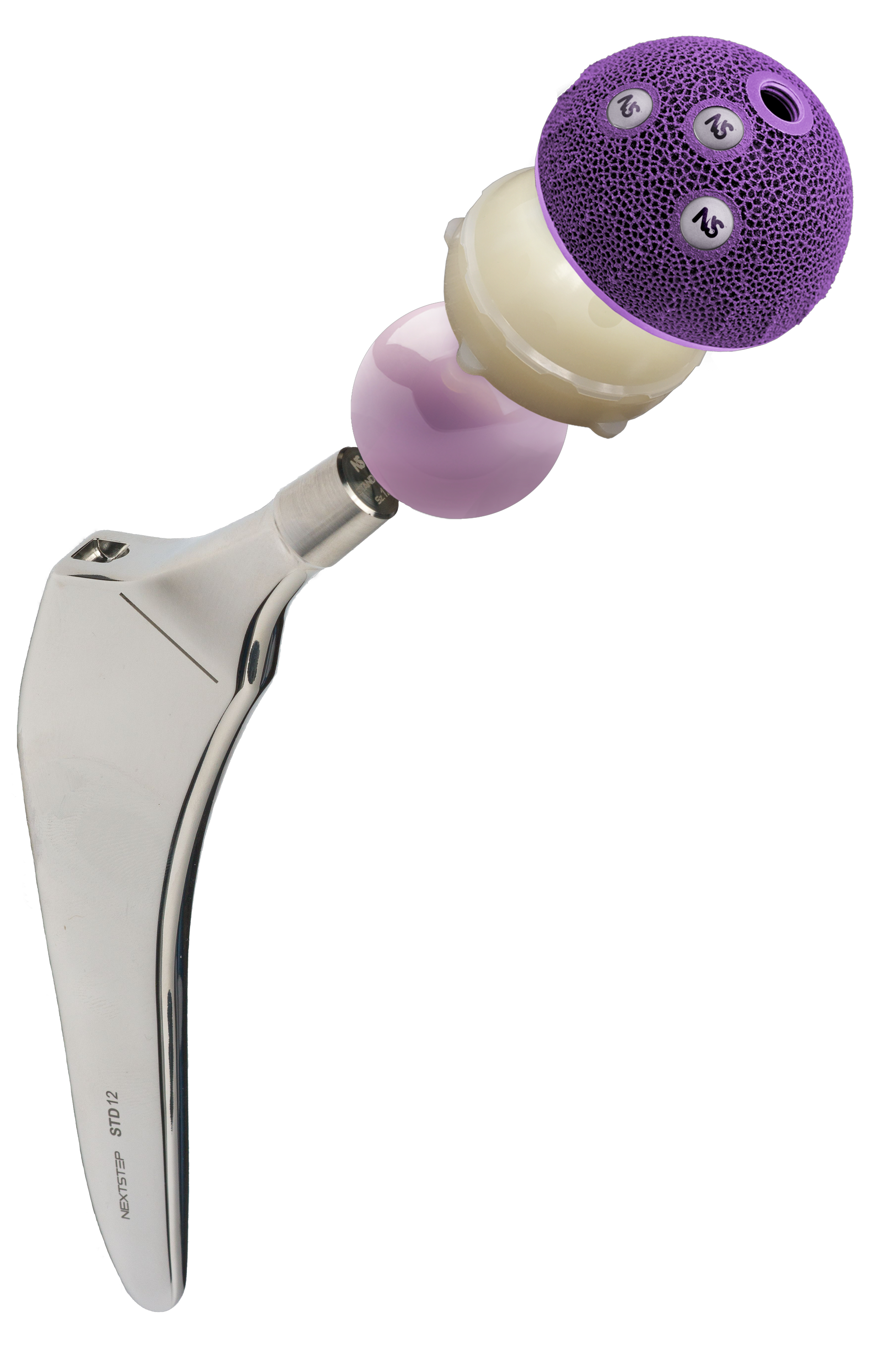 iNSitu Quad-Taper Cemented Hip System — NextStep